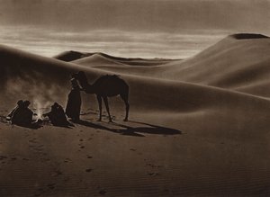 Soirée dans le désert - European Photographer