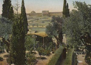 Jardin de Gethsémani - European Photographer