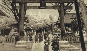 Japon, rue à Tokyo, période des cerisiers en fleurs - European Photographer