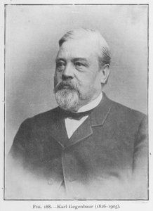 Karl Gegenbaur (1626-1903), portrait - European Photographer