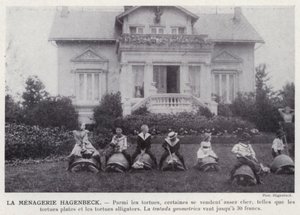 La ménagerie Hagenbeck - European Photographer