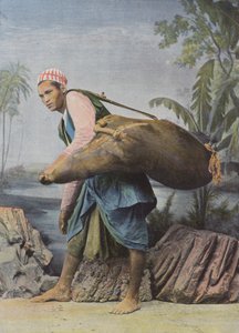 Porteur D