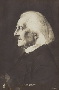 Portrait de Franz Liszt - European Photographer