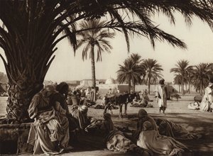 Oasis de Touggourt - European Photographer