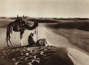Adoration dans le désert - European Photographer