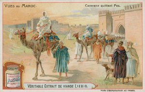 Une caravane quittant Fès - European School