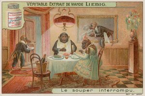 Dîner de singes - European School