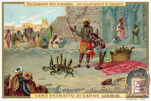 Un charmeur de serpents (chromolithographie) - European School