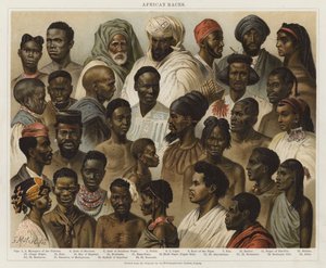 Races africaines - European School