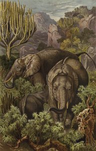 Éléphant africain - European School