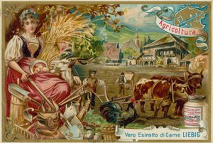 Agriculture - European School