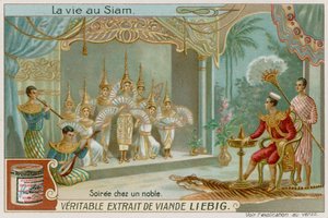 Une soirée chez un noble - European School