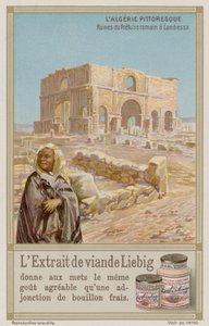 Ruines romaines antiques à Lambaesa - European School