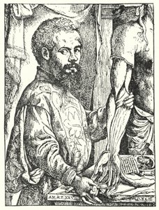 Andreas Vesalius