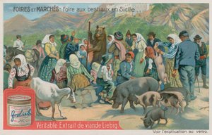 Foire aux animaux en Sicile