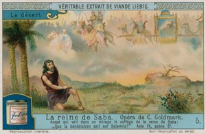 Assad dans le désert avec la caravane de la reine de Saba - European School