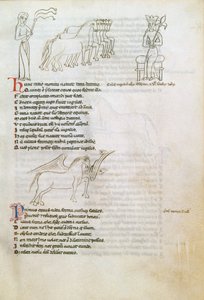 Bestiaire : le cheval - European School