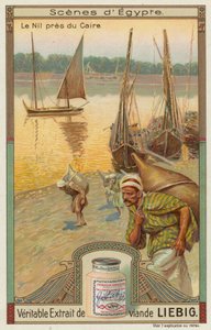 Bateaux sur le Nil près du Caire - European School