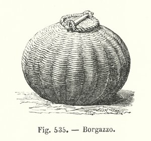 Borgazzo - European School