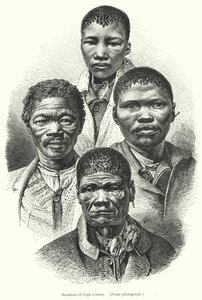 Bushmen du Cap