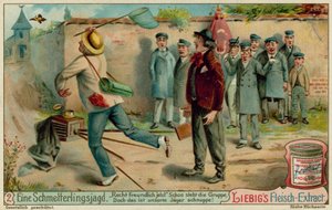 Chasse aux Papillons et Photographie - European School
