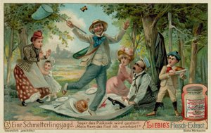 Chasse aux Papillons et Pique-nique - European School
