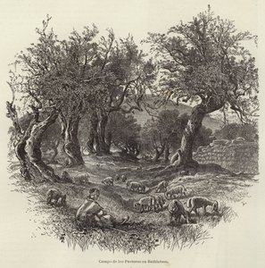 Champ des Bergers à Bethléem