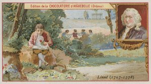 Carl von Linné, botaniste et zoologiste suédois