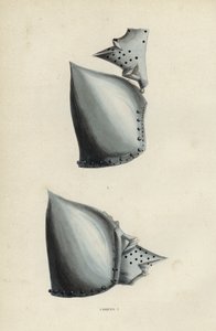 Casques - European School