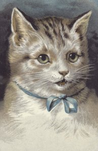 Chat à col bleu (chromolitho) - European School