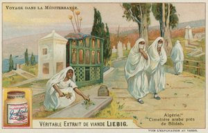 Cimetière près de Blida en Algérie - European School