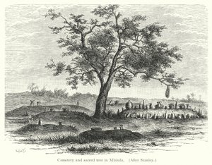Cimetière et arbre sacré à Mbinda
