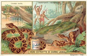 Copperhead - European School