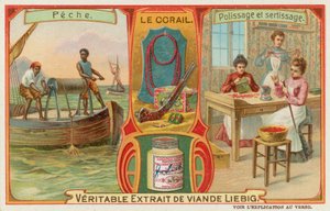 Corail - European School