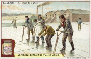 Couper de la glace avec des scies - European School