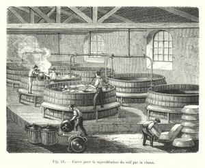 Cuves pour la saponification du suif par la chaux - European School
