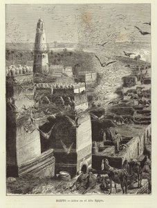 Égypte - Village en Haute-Égypte - European School