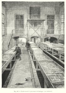 Établissement de pisciculture de Huningue, vue intérieure - European School