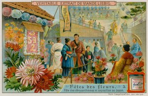 Festivals des Chrysanthèmes au Japon - European School