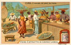 Marché aux poissons de La Havane, Cuba (chromolithographie) - European School