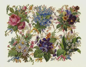 Fleurs - European School