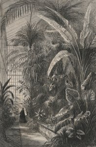 Grande serre du Muséum de Paris (gravure)