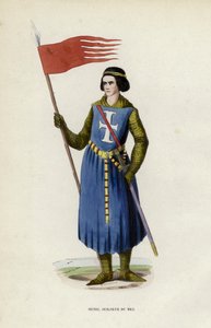 Henri, Seigneur Du Mez