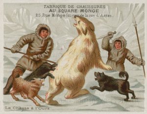 Chasse aux ours polaires avec des chiens - European School