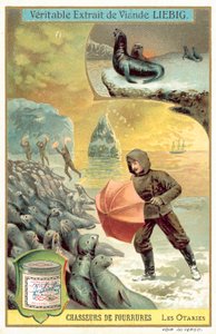 Chasse aux lions de mer - European School