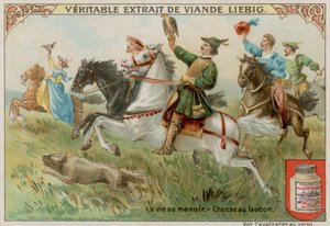 Chasse au faucon - European School