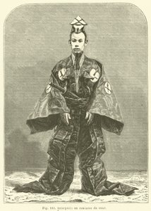 Interprète en costume de cour - European School
