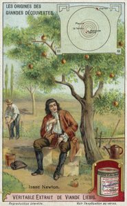 Isaac Newton et la gravité - European School