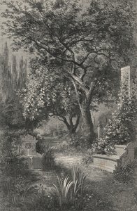 Jardin d