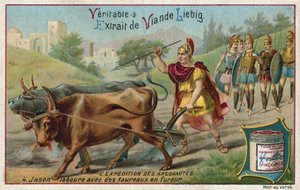 Jason labourant avec les bœufs cracheurs de feu - European School